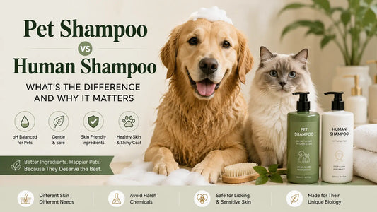 Pet Shampoo vs Human Shampoo: Why Your Pet Deserves a Formula Made Just for Them